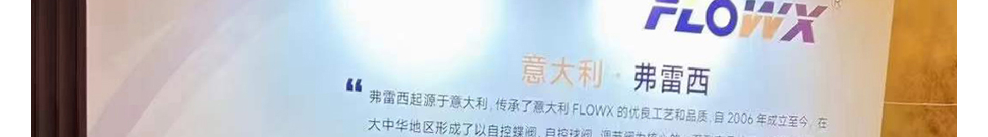 蜜桃国精产品二三三区视频