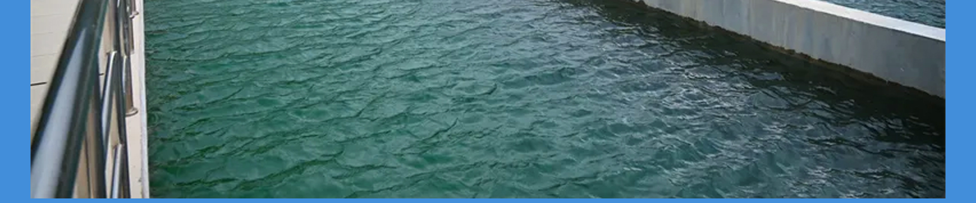 蜜桃国精产品二三三区视频