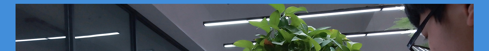 蜜桃国精产品二三三区视频