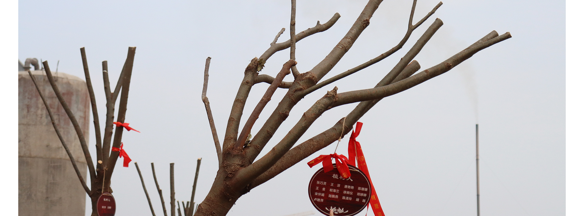 蜜桃国精产品二三三区视频