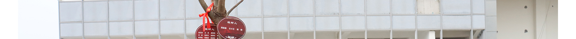 蜜桃国精产品二三三区视频