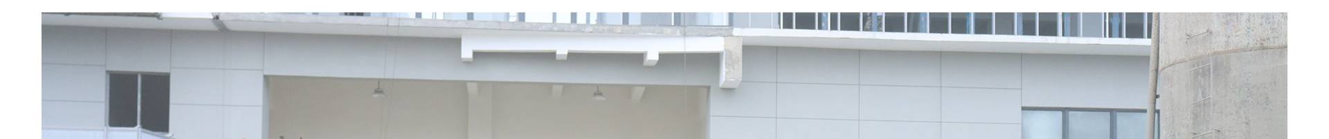 蜜桃国精产品二三三区视频