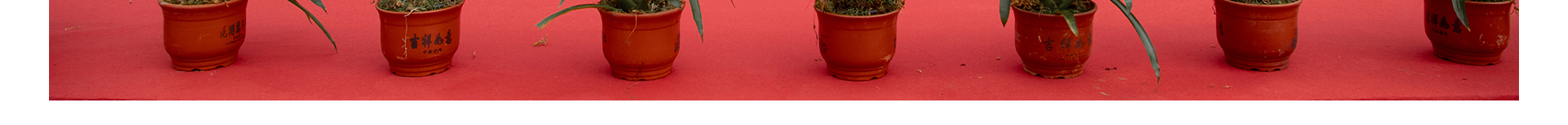 蜜桃国精产品二三三区视频