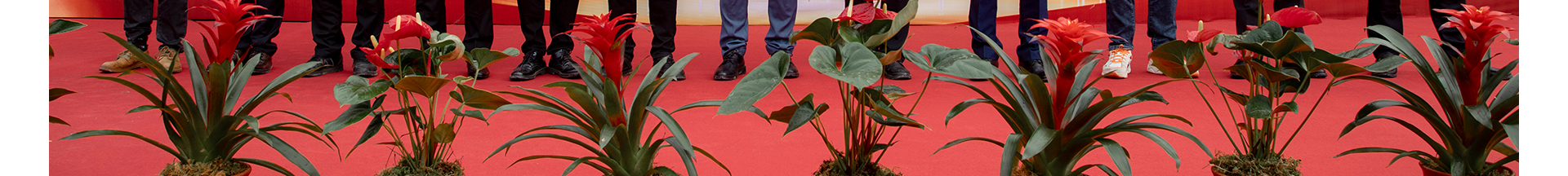 蜜桃国精产品二三三区视频