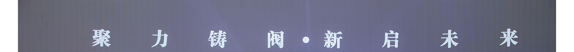 蜜桃国精产品二三三区视频