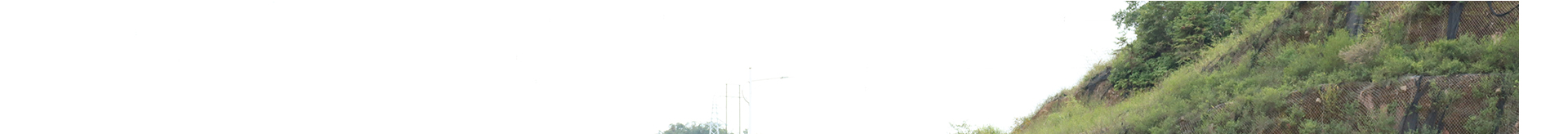 蜜桃国精产品二三三区视频