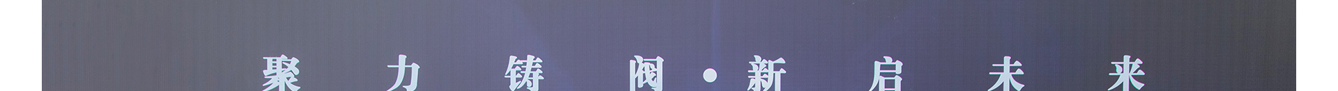 蜜桃国精产品二三三区视频