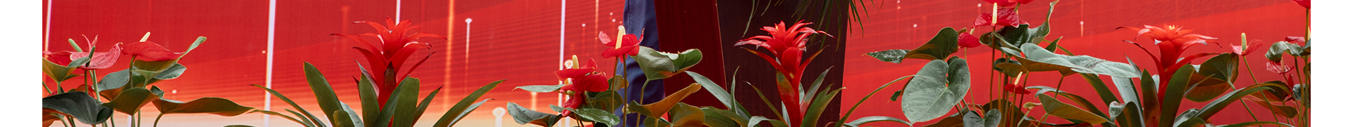 蜜桃国精产品二三三区视频