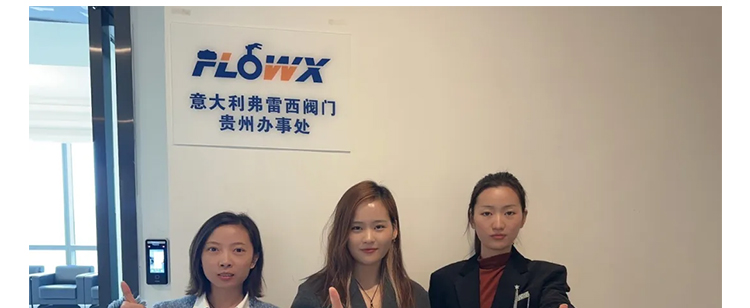 蜜桃国精产品二三三区视频