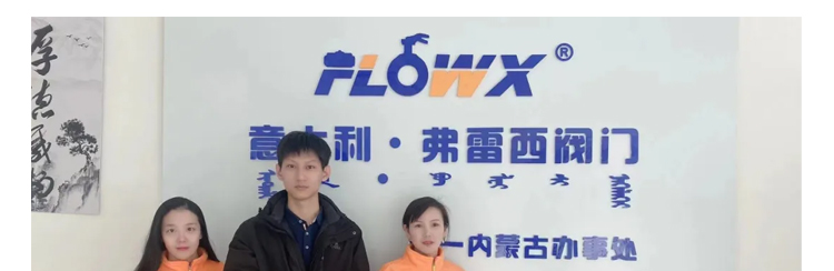 蜜桃国精产品二三三区视频