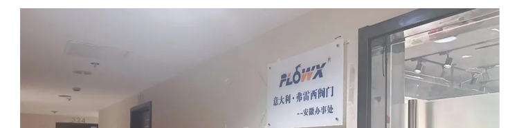 蜜桃国精产品二三三区视频